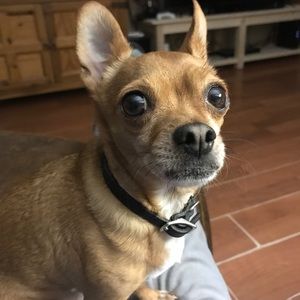 Meet your Posher, Krista